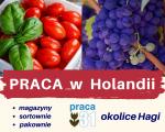 Praca za granicą oferty pracy